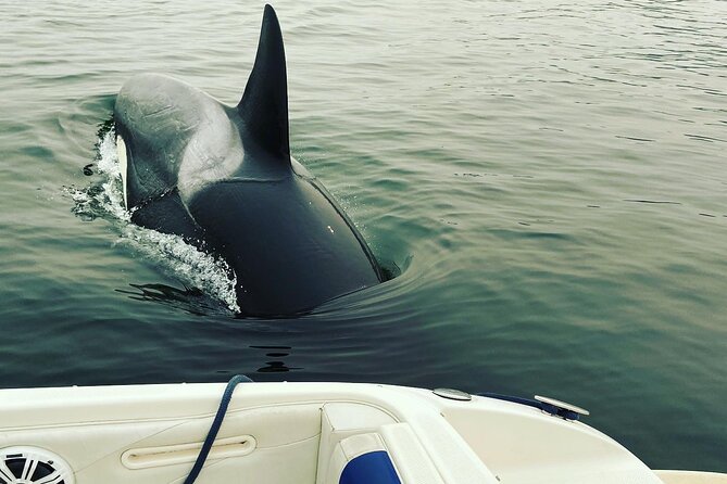 2 Hour Chartered Boat Tour from Deep Cove North Vancouver - Why Michael’s local stories add real value