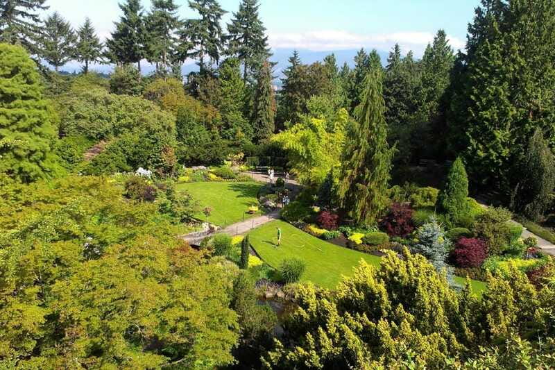 4-Hour Private Tour of Vancouver's Gardens - What the private Cadillac changes
