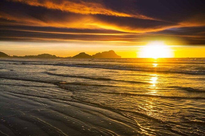 7 Day Guided Small Group Tour On Vancouver Island’s West Coast - Key points to know before booking