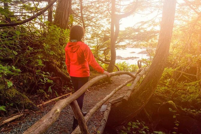 7 Day Guided Small Group Tour On Vancouver Island’s West Coast - Day 3: Your choice of kayaking, whales, hiking, or Tofino time