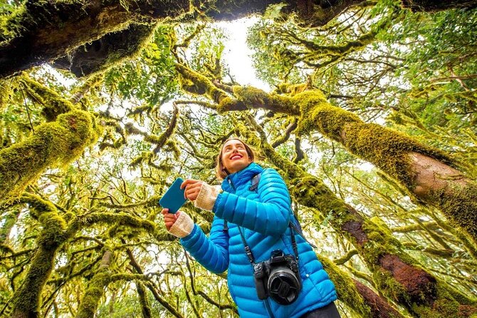 7 Day Guided Small Group Tour On Vancouver Island’s West Coast - Day 4: Rainforest trails, Sproat Lake, waterfalls, and Parksville