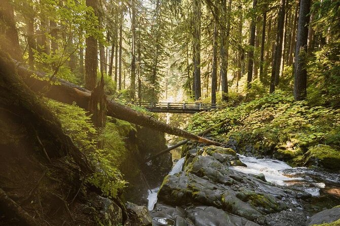 7 Day Guided Small Group Tour On Vancouver Island’s West Coast - Day 6: Five hours along the East Sooke coast