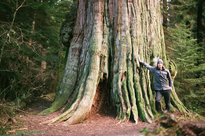 Ancient Trees of Vancouver Walking Tour - Meeting Colin Spratt at Ferguson Point