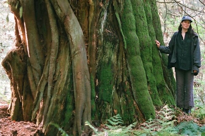 Ancient Trees of Vancouver Walking Tour - Following the forest trails for three hours