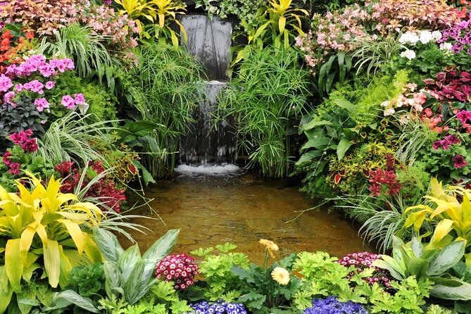 Best of Victoria and Butchart Gardens Day Tour from Vancouver - The Tsawwassen ferry crossing sets the tone