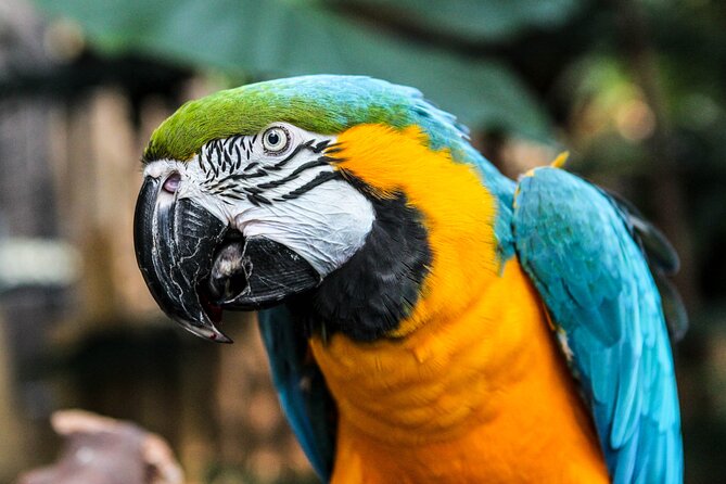Bloedel Conservatory Admission Ticket - Plants, flowers, and the healing garden