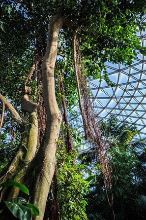 Bloedel Conservatory Admission Ticket - A smart stop for families with young children