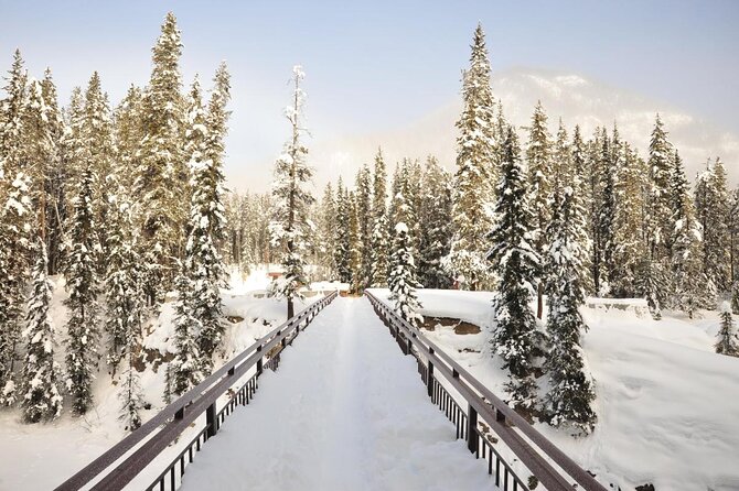 Canadian Rockies and Banff 4-Day Tour from Vancouver (Chn&Eng) - Key details before you book
