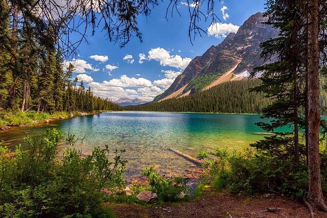 Canadian Rockies and Banff 4-Day Tour from Vancouver (Chn&Eng) - Day 3: The Icefields Parkway and glacier country