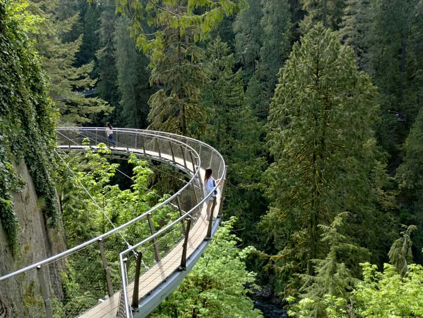 Capilano Br+Grouse Mtn+Dam+Lake&Hatcher/5in1/Small Group/Car - Key points to know before booking