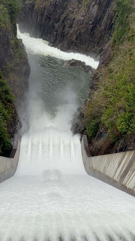 Capilano Br+Grouse Mtn+Dam+Lake&Hatcher/5in1/Small Group/Car - Granville Island, Gastown, and the city portion