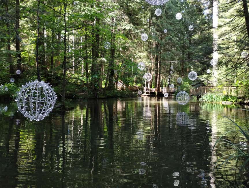 Capilano Br+Grouse Mtn+Dam+Lake&Hatcher/5in1/Small Group/Car - Who will get the most from the $187 price