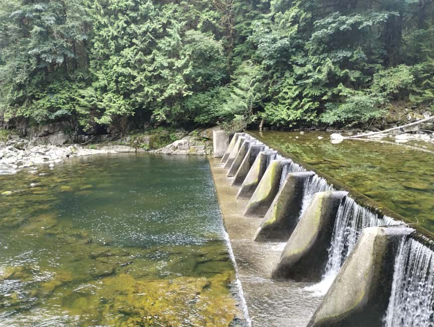 CAPILANO BR+GROUSE Mtn+STANLEY P+DAM+LAKE+HATCHERY/CAR/9in1 - Stanley Park begins with art and local identity
