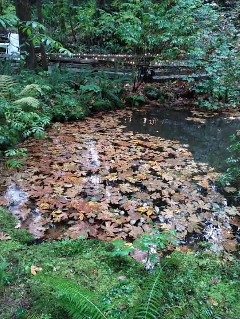 CAPILANO BR+GROUSE Mtn+STANLEY P+DAM+LAKE+HATCHERY/CAR/9in1 - Cleveland Dam and Capilano Lake show the North Shore at its calmest