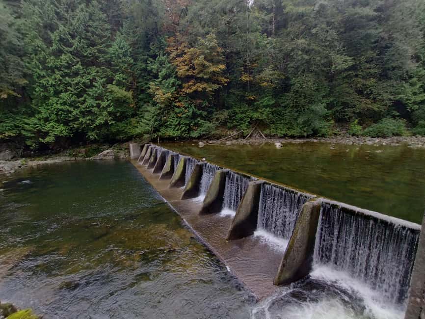 Capilano Suspension Br+Lake+Dam+Hachery/4in1/CAR/Small GROUP - Capilano Lake and Cleveland Dam