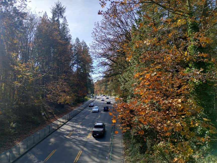 Capilano Suspension Br+Lake+Dam+Hachery/4in1/CAR/Small GROUP - Capilano River Hatchery and the salmon cycle