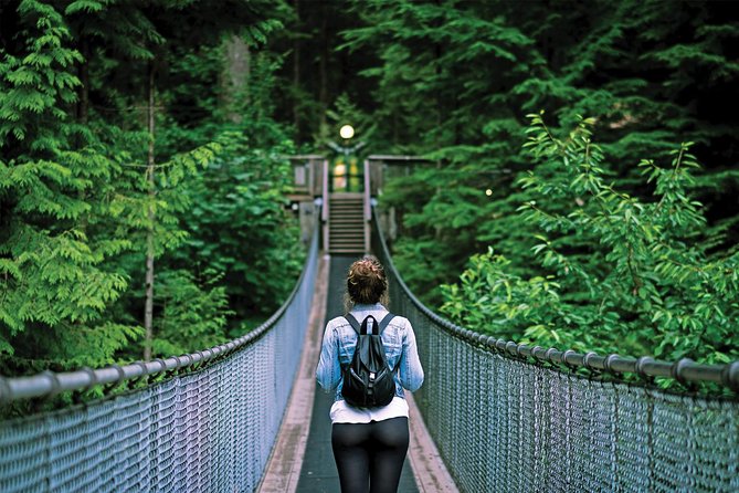 Capilano Suspension Bridge + Grouse Mountain Tour - Grouse Mountain: Skyride views and resident grizzlies