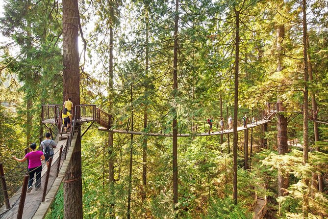 Capilano Suspension Bridge + Grouse Mountain Tour - What the guides add to the day