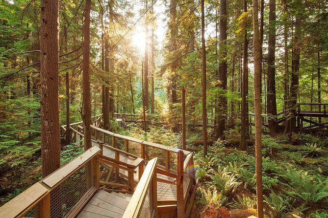 Capilano Suspension Bridge Park Ticket - Visiting in rain, cold, or seasonal lights