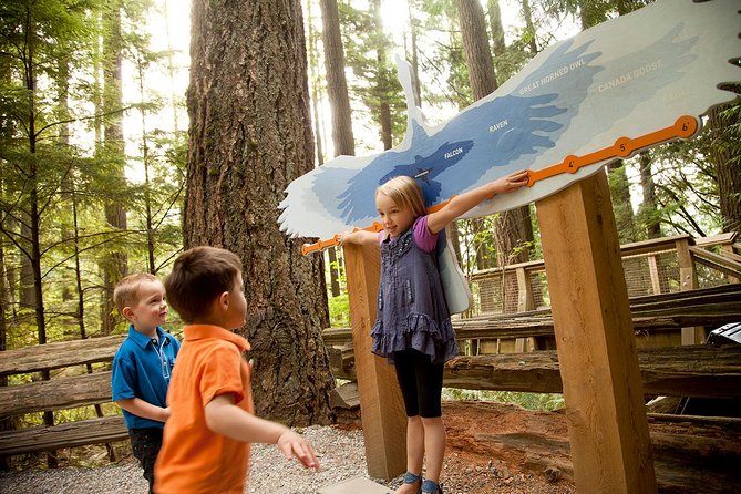 Capilano Suspension Bridge Park Ticket - Treetops Adventure among old-growth cedars