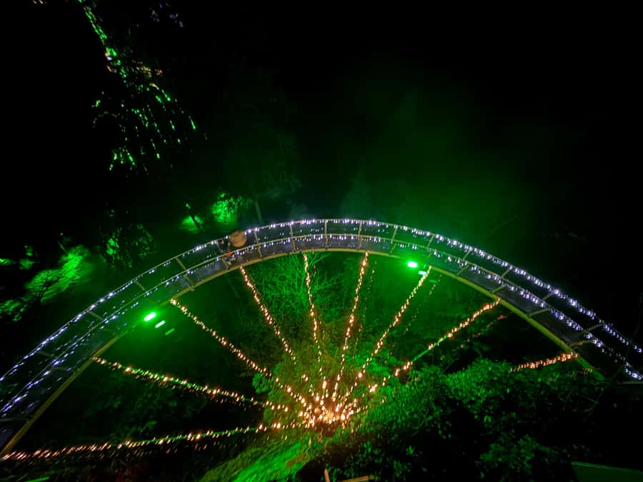 Capilano Suspension Bridge/Private/Small Group/By LUX CAR - Why this tour works well in Vancouver