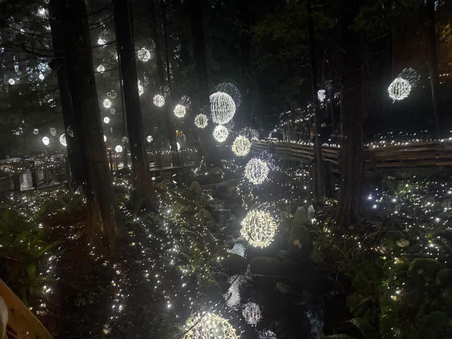 Capilano Suspension Bridge/Private/Small Group/By LUX CAR - Treetops Adventure among the evergreens