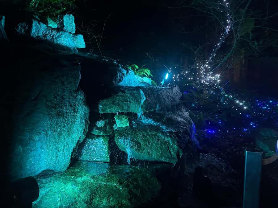 Capilano Suspension Bridge/Private/Small Group/By LUX CAR - Cliffwalk beside Capilano Canyon