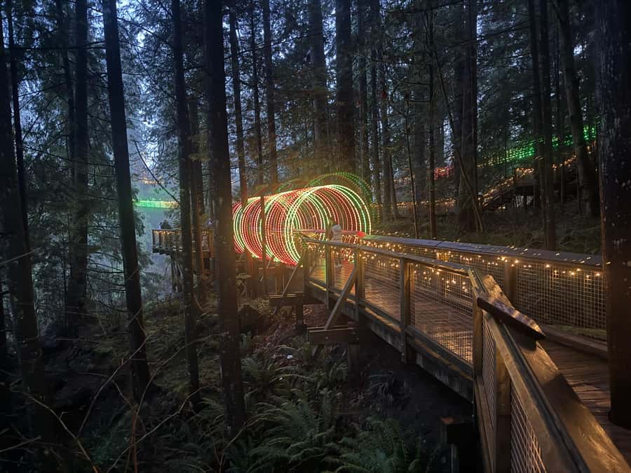 Capilano Suspension Bridge/Private/Small Group/By LUX CAR - Kia’palano and the Story Centre
