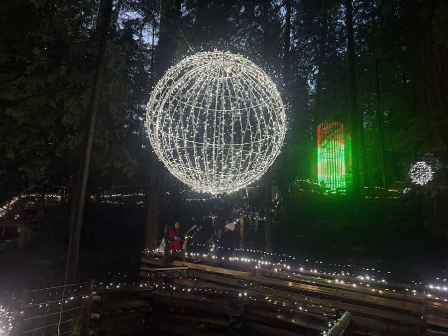 Capilano Suspension Bridge/Private/Small Group/By LUX CAR - The Trading Post and useful breaks