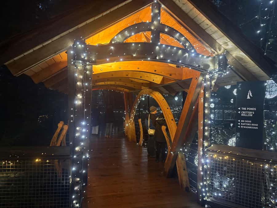 Capilano Suspension Bridge/Private/Small Group/By LUX CAR - Who will get the most from the $136 price