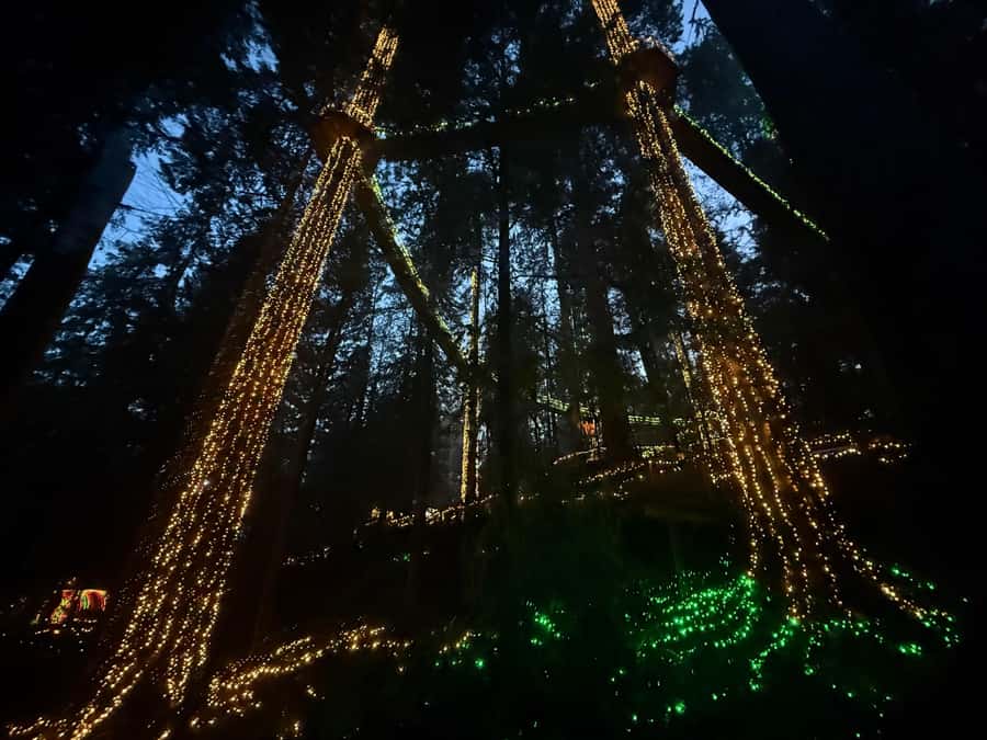 Capilano Suspension Bridge/Private/Small Group/By LUX CAR - Crossing the 137-meter Suspension Bridge