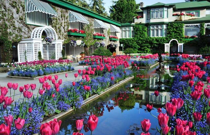 Day Trip from Vancouver to Victoria and Butchart Gardens - Who should book this Victoria day trip?