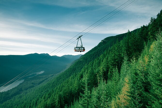 EcoEscape: Luxury & Exclusive Tour Experiences - Stanley Park, totem poles, and Prospect Point