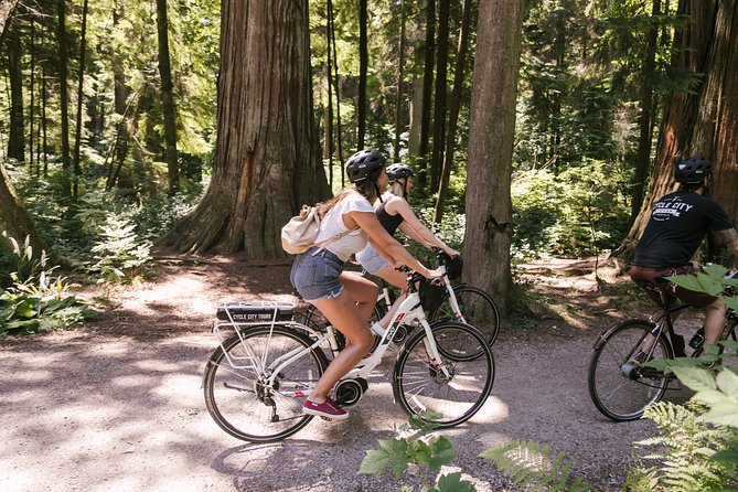 Epic Electric Bike Tour by Cycle City Tours - Prospect Point and the Lions Gate Bridge