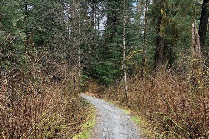 Experience the Beauty of Vancouver’s Forests by Bike/E-Bike - Who will enjoy this four-hour ride
