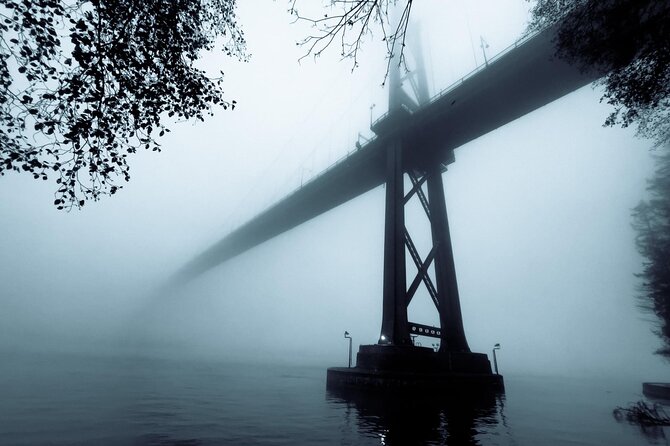 Explore Stanley Park on Electric Scooters - What the price really means