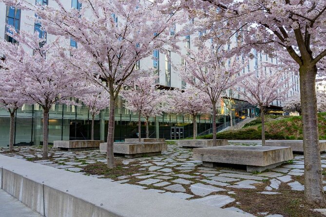 Explore Vancouver: Beaches & Downtown Audio Tour Bundle - Kitsilano offers the best chance for a real pause