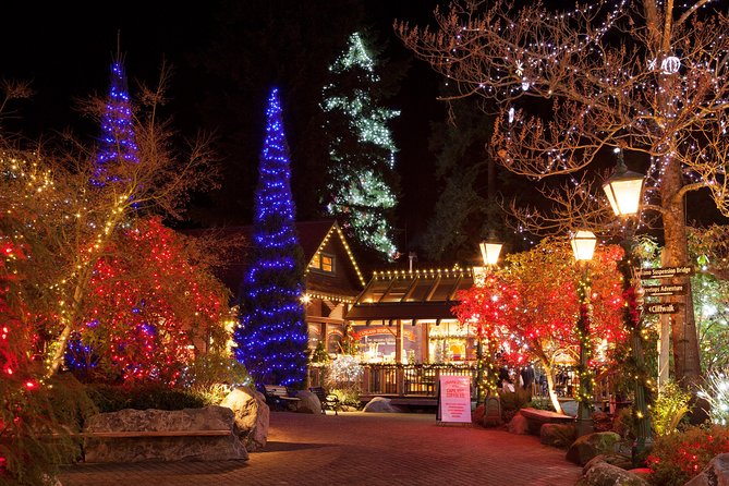 Explore Vancouver City & Capilano Suspension Bridge Canyon Lights - Robson Street gives you a quick city cross-section