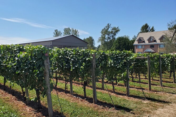 Fraser Valley Wine Tour from Vancouver with a Light Lunch - Why this Fraser Valley wine tour works