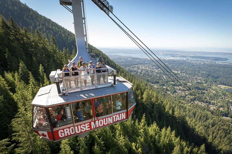 From Vancouver: Capilano Suspension Bridge & Grouse Mountain - Who Should Book This Day Trip?