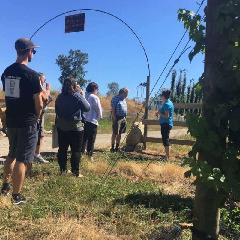 From Vancouver: Fraser Valley Wine Tour with Local Tastings - Who should book this Fraser Valley outing?