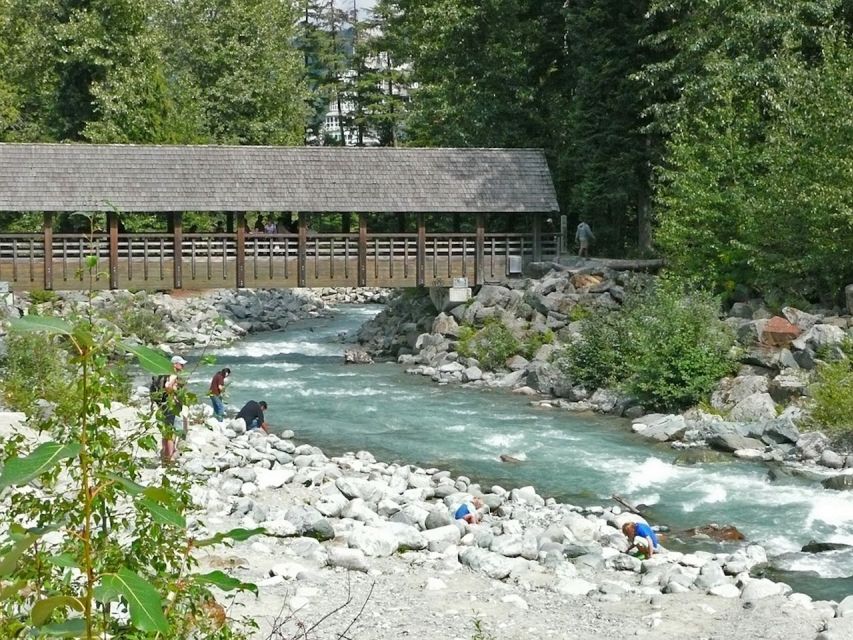 From Vancouver: Whistler and Shannon Falls Private Day Trip - My final take on the Vancouver to Whistler day trip