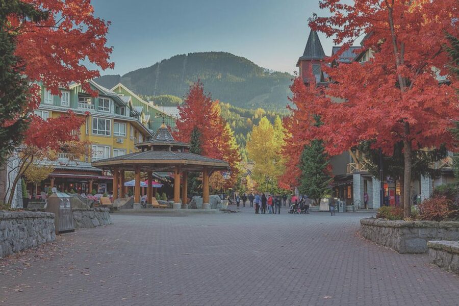 From Vancouver: Whistler and Shannon Falls Private Day Trip - From Stanley Park to the Sea to Sky Highway