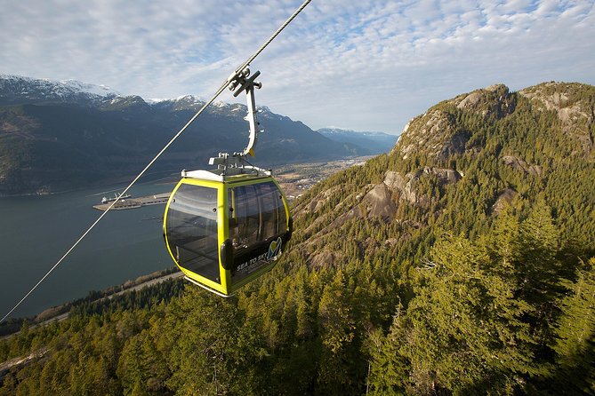 From Vancouver: Whistler & Sea to Sky Gondola with Shannon Falls - Why the Sea to Sky Gondola is the day’s highlight