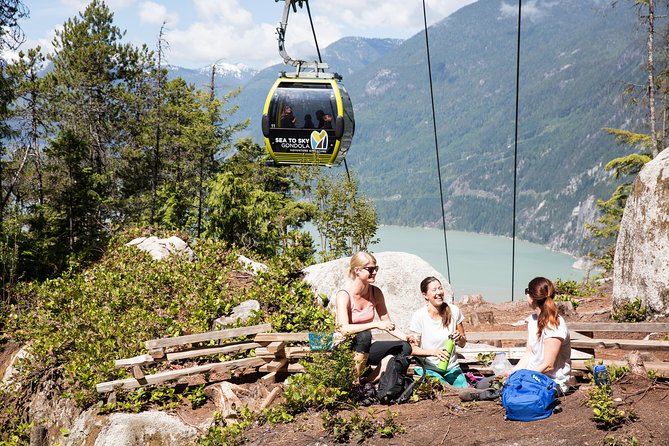 From Vancouver: Whistler & Sea to Sky Gondola with Shannon Falls - Who should book this Vancouver day trip?