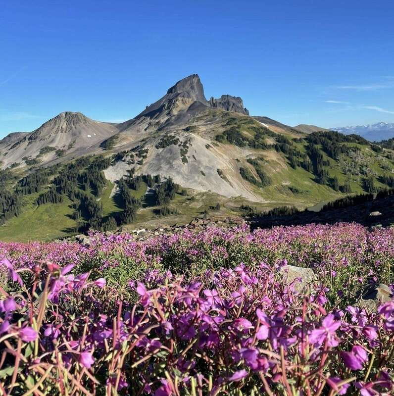 Garibaldi Park/ Panorama Ridge/ Hiking Day Trip - The final climb to Panorama Ridge
