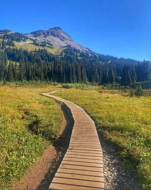 Garibaldi Park/ Panorama Ridge/ Hiking Day Trip - Returning through Garibaldi Provincial Park