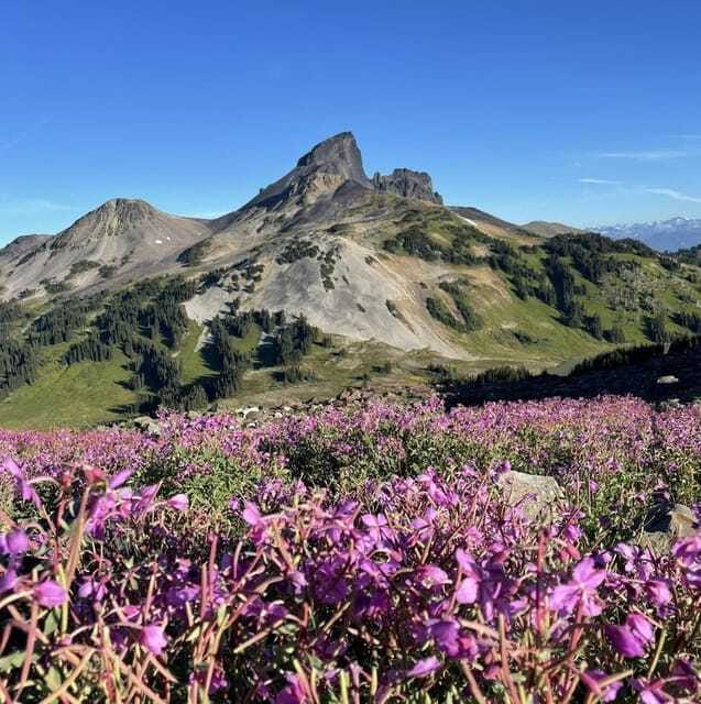Garibaldi Park/ Panorama Ridge/ Hiking Day Trip - Who should book this hike