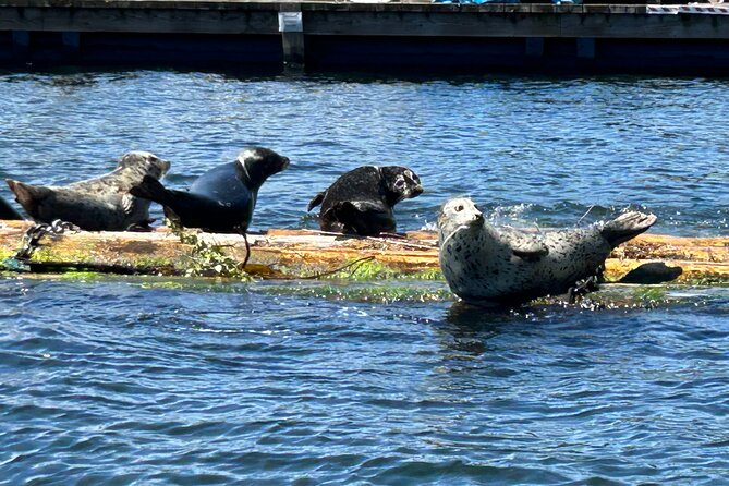 Granite and Silver Falls Private Boat Tour in Vancouver - Twin Islands and the open water views