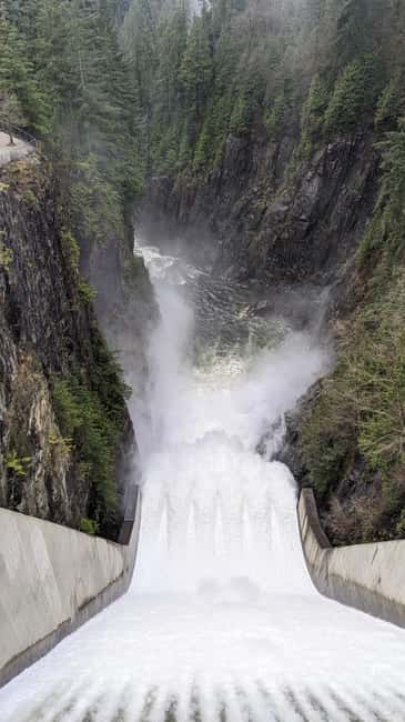 Grouse Mnt+StanleyPark+Hatchery+Cleveland Dam+LynnCanyonTOUR - Salmon at the Capilano River Hatchery